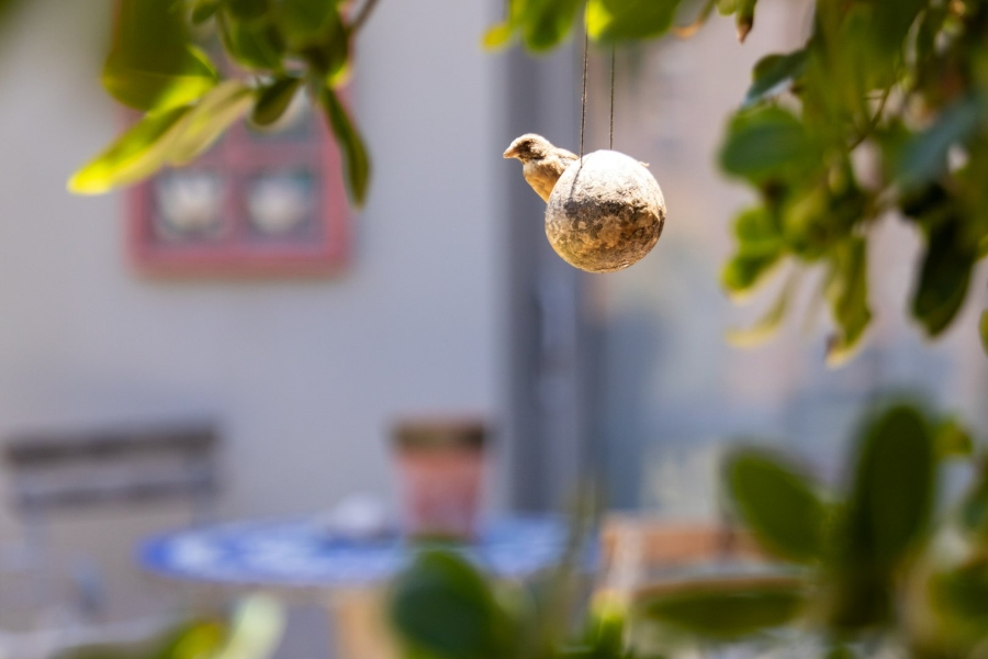 4 Bedroom Property for Sale in Buffalo Bay Western Cape